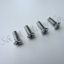 TRIUMPH T100 T120 GAS FUEL TANK BADGE 1963-67 EMBLEM SCREW 82-4129 F4129 97-0993